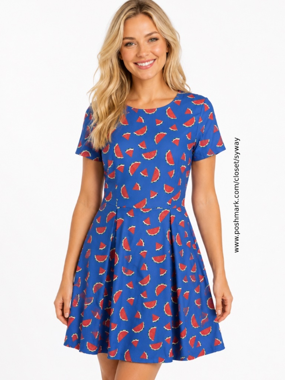 Sugarhill Fit and Flare Watermelon Motif Dress NWT